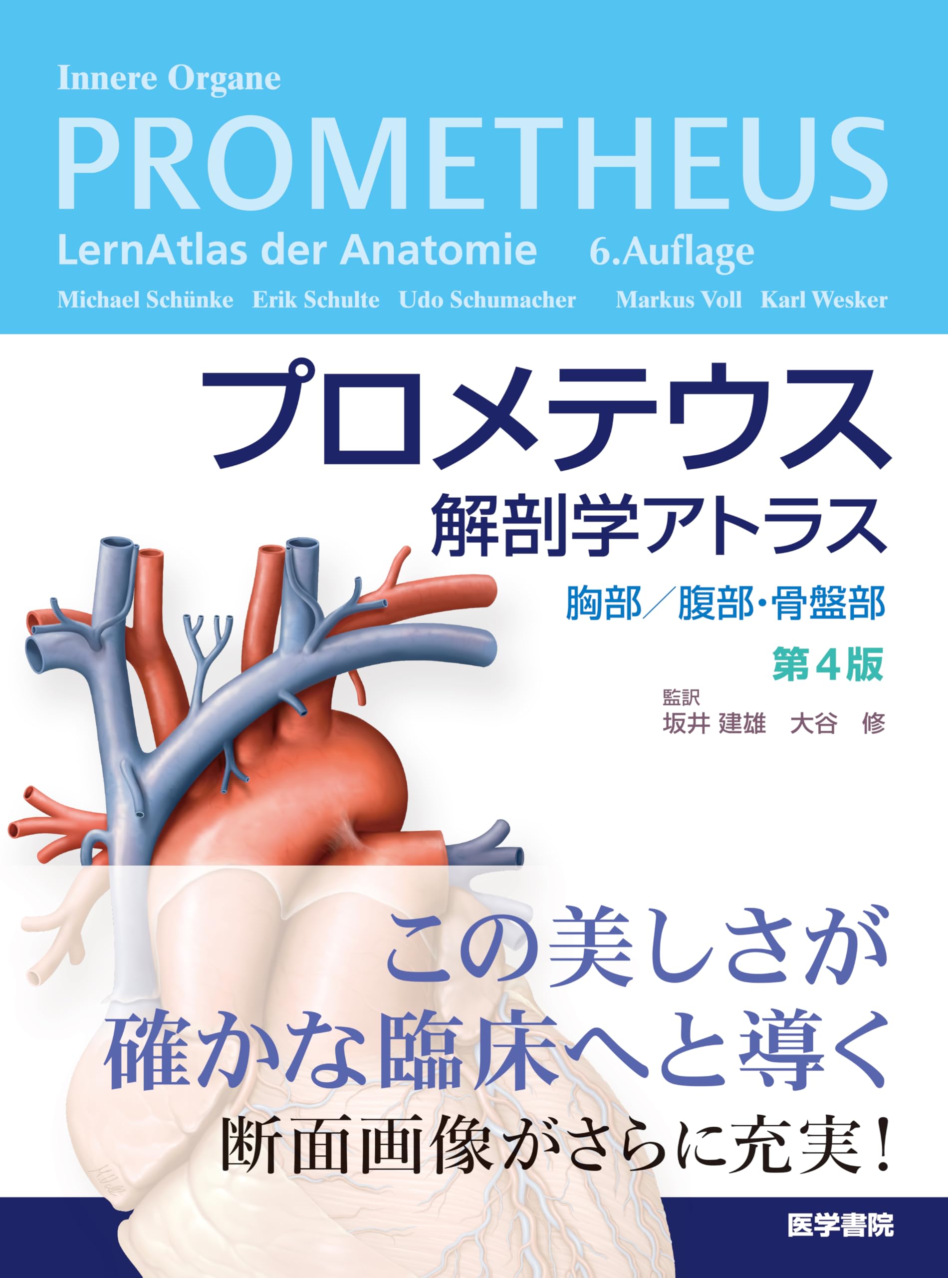 プロメテウス解剖学アトラス 胸部/腹部・骨盤部 第4版 | 坂井 建雄
